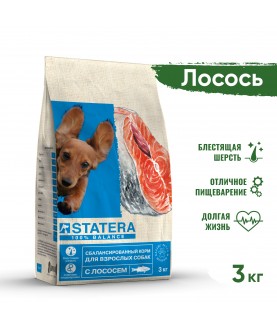 STATERA сухой корм для взрослых собак с лососем и рисом 3кг