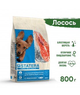 STATERA сухой корм для взрослых собак с лососем и рисом 800г